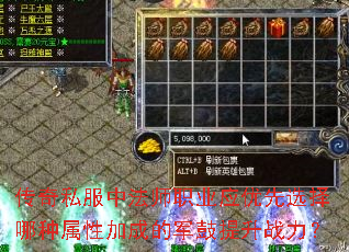 ˽зʦְҵӦѡԼӳɵľս