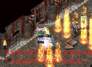 紫海螺为何成为法师玩家首选装备?全面解析获取方法与实战技巧 紫海螺为何成为法师玩家首选装备?全面解析获取方法与实战技巧