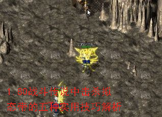 1.80ս˵лɱ̬ʵüɽ