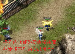 提升内功能为玩家带来哪些意想不到的实战优势? 提升内功能为玩家带来哪些意想不到的实战优势?