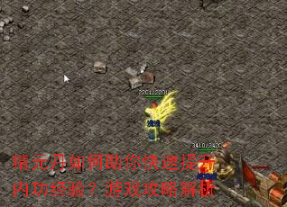 精元丹如何助你快速提升内功经验?游戏攻略解析 精元丹如何助你快速提升内功经验?游戏攻略解析