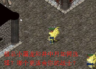 极品小屠龙和井中月如何选择?哪个更适合你的战士? 极品小屠龙和井中月如何选择?哪个更适合你的战士?