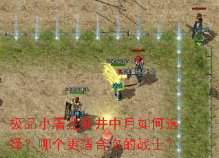 极品小屠龙和井中月如何选择?哪个更适合你的战士? 极品小屠龙和井中月如何选择?哪个更适合你的战士?