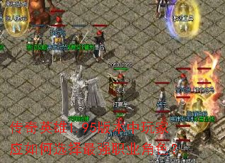 Ӣ1.95汾Ӧѡǿְҵɫ