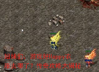 姐妹们,游戏好Happy衣服去哪了?传奇攻略大揭秘 姐妹们,游戏好Happy衣服去哪了?传奇攻略大揭秘