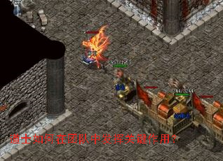 道士如何在团队中发挥关键作用? 道士如何在团队中发挥关键作用?