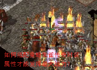 如何搭配金蟾朱雀传奇时装属性才能发挥最大战力? 如何搭配金蟾朱雀传奇时装属性才能发挥最大战力?