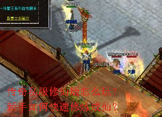 传奇私服修仙版怎么玩?新手如何快速修炼成仙? 传奇私服修仙版怎么玩?新手如何快速修炼成仙?