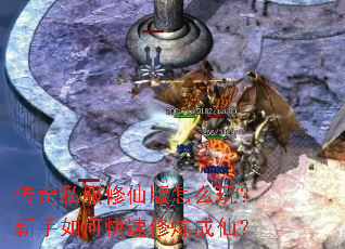 传奇私服修仙版怎么玩?新手如何快速修炼成仙? 传奇私服修仙版怎么玩?新手如何快速修炼成仙?