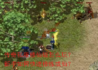 传奇私服修仙版怎么玩?新手如何快速修炼成仙? 传奇私服修仙版怎么玩?新手如何快速修炼成仙?