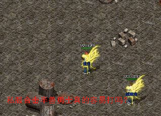 私服合击半兽勇士真的容易打吗? 私服合击半兽勇士真的容易打吗?