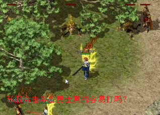 私服合击半兽勇士真的容易打吗? 私服合击半兽勇士真的容易打吗?