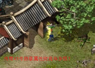 传奇43号勋章属性究竟有多强? 传奇43号勋章属性究竟有多强?