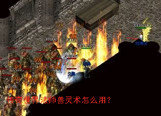 传奇世界法师兽灵术怎么用? 传奇世界法师兽灵术怎么用?