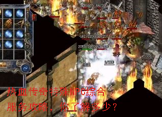 热血传奇特殊NPC综合服务攻略,你了解多少? 热血传奇特殊NPC综合服务攻略,你了解多少?