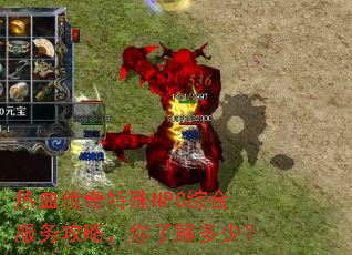 热血传奇特殊NPC综合服务攻略,你了解多少? 热血传奇特殊NPC综合服务攻略,你了解多少?