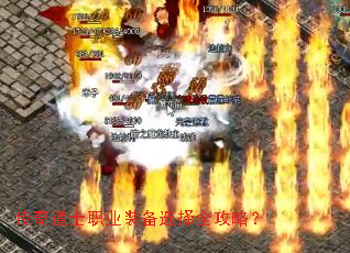 传奇道士职业装备选择全攻略? 传奇道士职业装备选择全攻略?