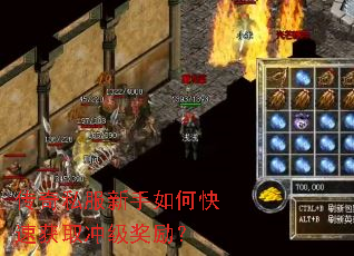 传奇私服新手如何快速获取冲级奖励? 传奇私服新手如何快速获取冲级奖励?