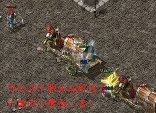 传奇战士职业如何培养才能成为最强王者? 传奇战士职业如何培养才能成为最强王者?