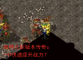 ������°汾����sf�п�������ս����