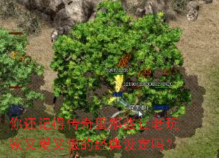 �㻹�ǵô�������Щ��������ְ��ֺ޵ľ����趨��