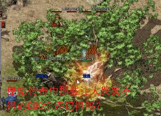 原始传奇中那些让人哭笑不得的BUG你还记得吗? 原始传奇中那些让人哭笑不得的BUG你还记得吗?