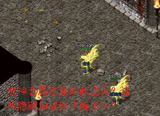 ���������Ծ�������죿��Щ���ؼӳ����˽���٣�