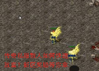 ����˽��ɢ����ο����¸�����������������