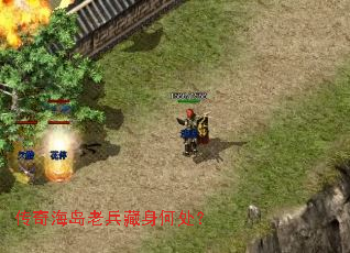 ���溣���ϱ������δ���