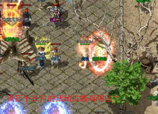 ���ʮ���µĻ��������Щ��