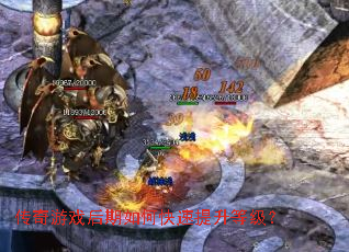 ������Ϸ������ο��������ȼ���