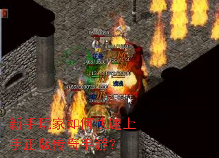 ���������ο����������洫�����Σ�