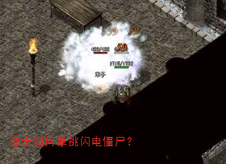 ��ʿ��ε������罩ʬ��