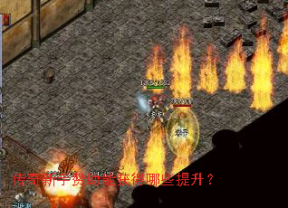 �������������ܻ����Щ������