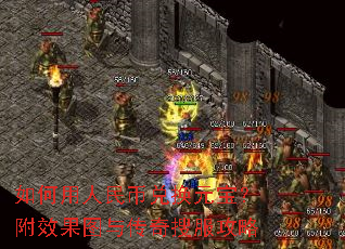 ���������Ҷһ�Ԫ������Ч��ͼ�봫���ѷ�����