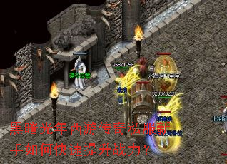 �ڰ��������δ���˽��������ο�������ս����