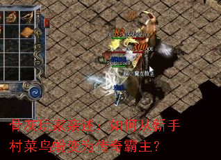 �ǻ������������δ����ִ�����ɱ�Ϊ���������