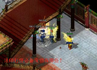 法师打怪必备宠物有哪些? 法师打怪必备宠物有哪些?