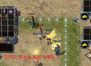 法师打怪必备宠物有哪些? 法师打怪必备宠物有哪些?