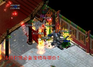 法师打怪必备宠物有哪些? 法师打怪必备宠物有哪些?