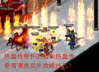 ��Ѫ���滳�ɰ����Ѫ��������Щʵ�ù��Լ��ɣ�