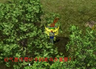 运气在传奇SF中到底有多重要? 运气在传奇SF中到底有多重要?