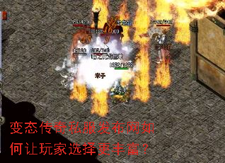 ��̬����˽����������������ѡ����ḻ��