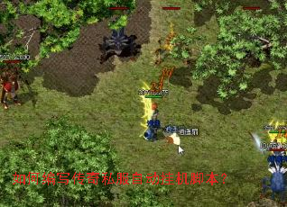 ��α�д����˽���Զ��һ��ű���