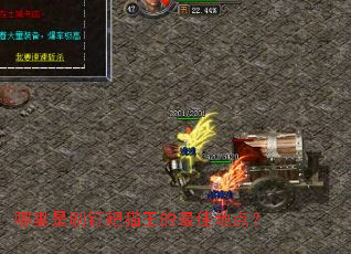 ������ˢ����è������ѵص㣿