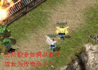 ��ʦְҵ��δ����ֳɳ�Ϊ������֣�