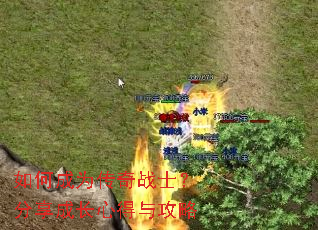 ��γ�Ϊ����սʿ�������ɳ��ĵ��빥��