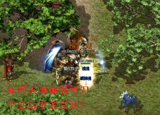 ���ȥ��Ѫ�������б�汾��©����