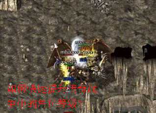 ��ο�����������ս���еĽ�ɫ�ȼ���