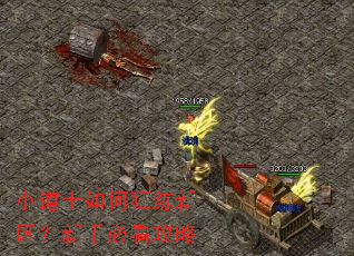 С��ʿ��ο������������ֱؿ�����